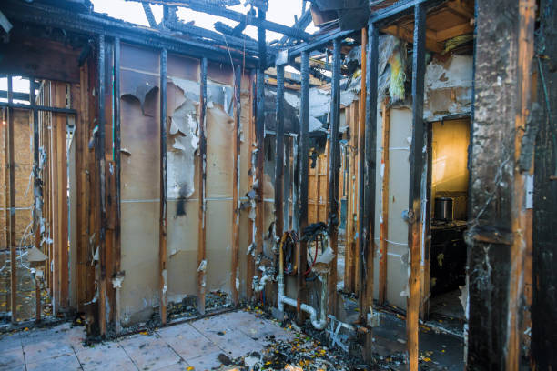 Professional Fire Damage Removal technician working in Waverly, NE
